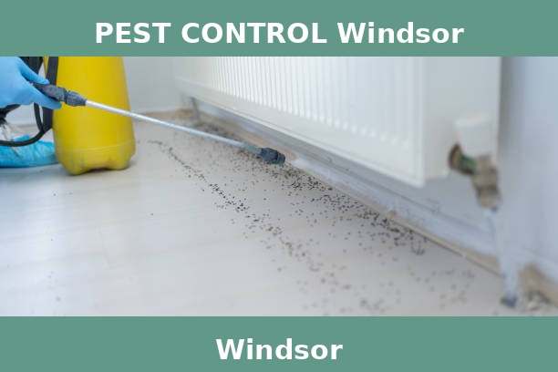 PEST CONTROL Windsor